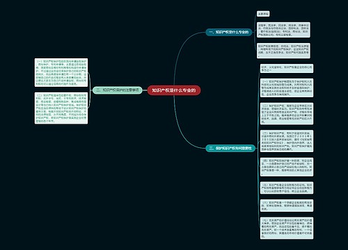 知识产权是什么专业的