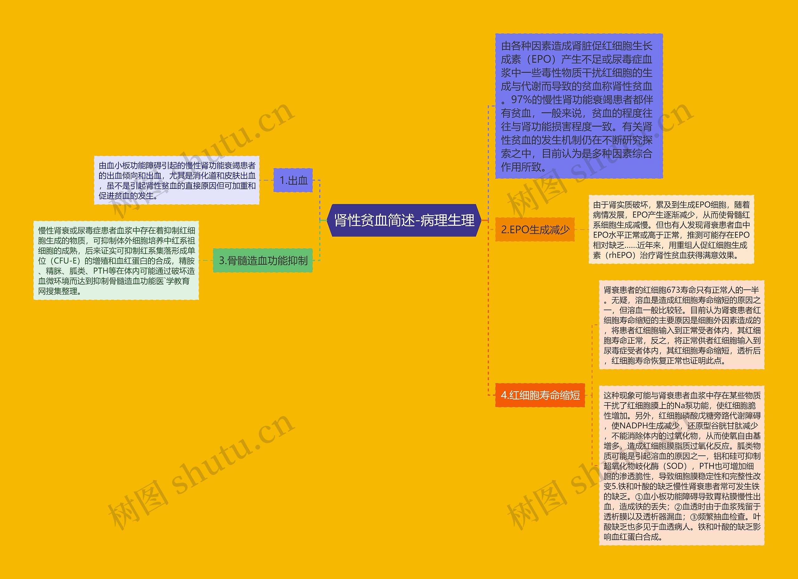 肾性贫血简述-病理生理思维导图