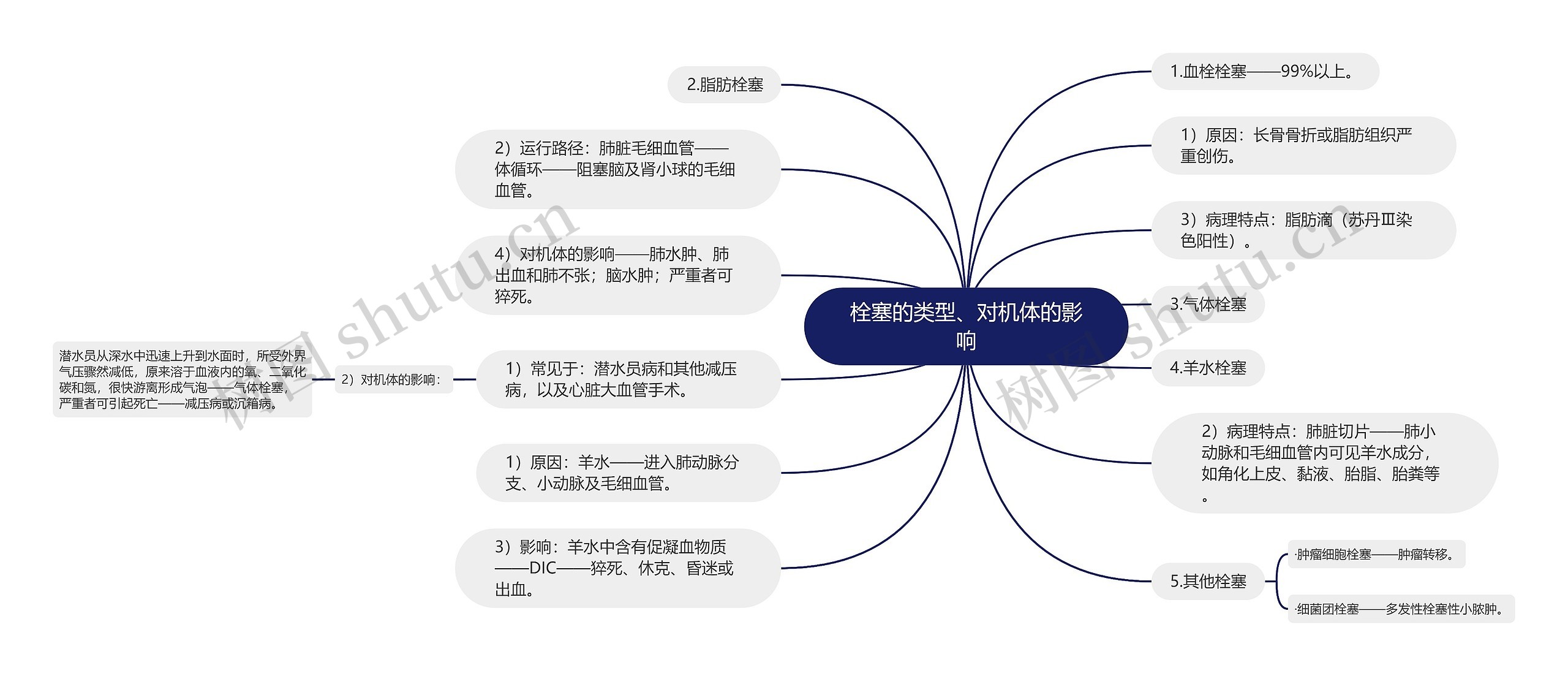 栓塞的类型、对机体的影响