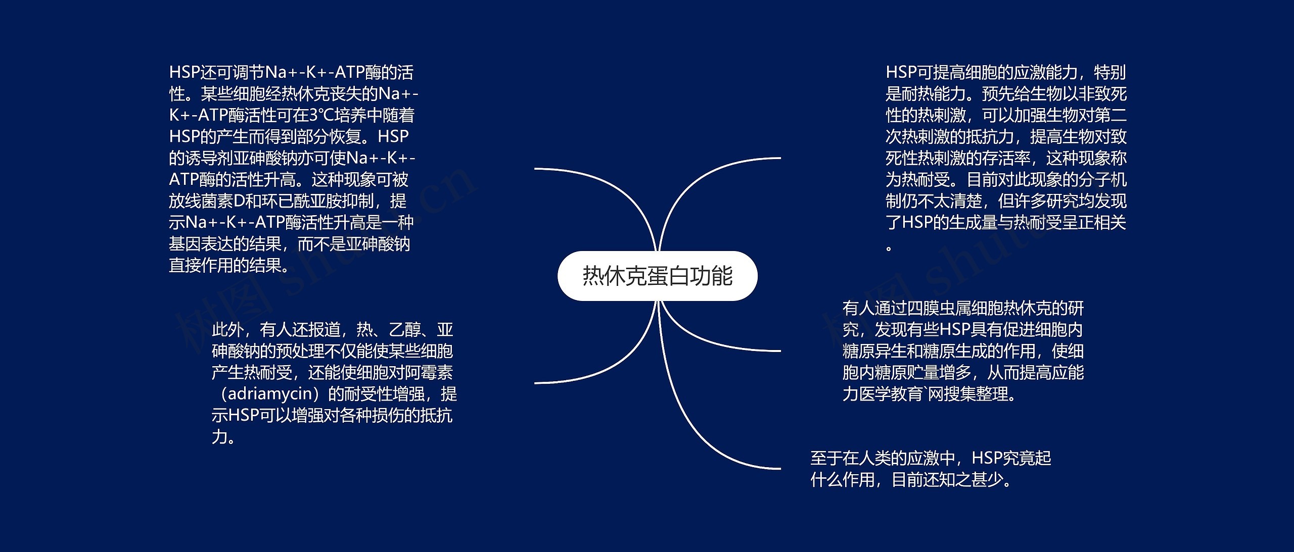 热休克蛋白功能 热休克蛋白功能