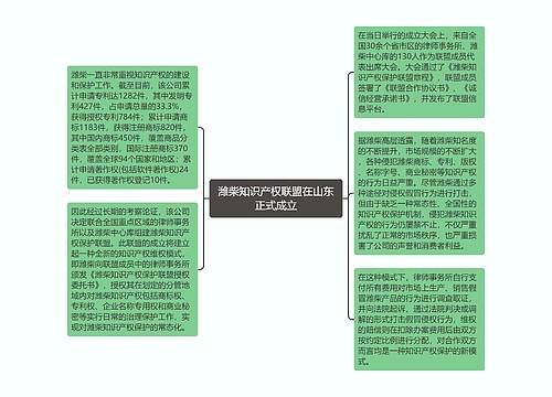 潍柴知识产权联盟在山东正式成立