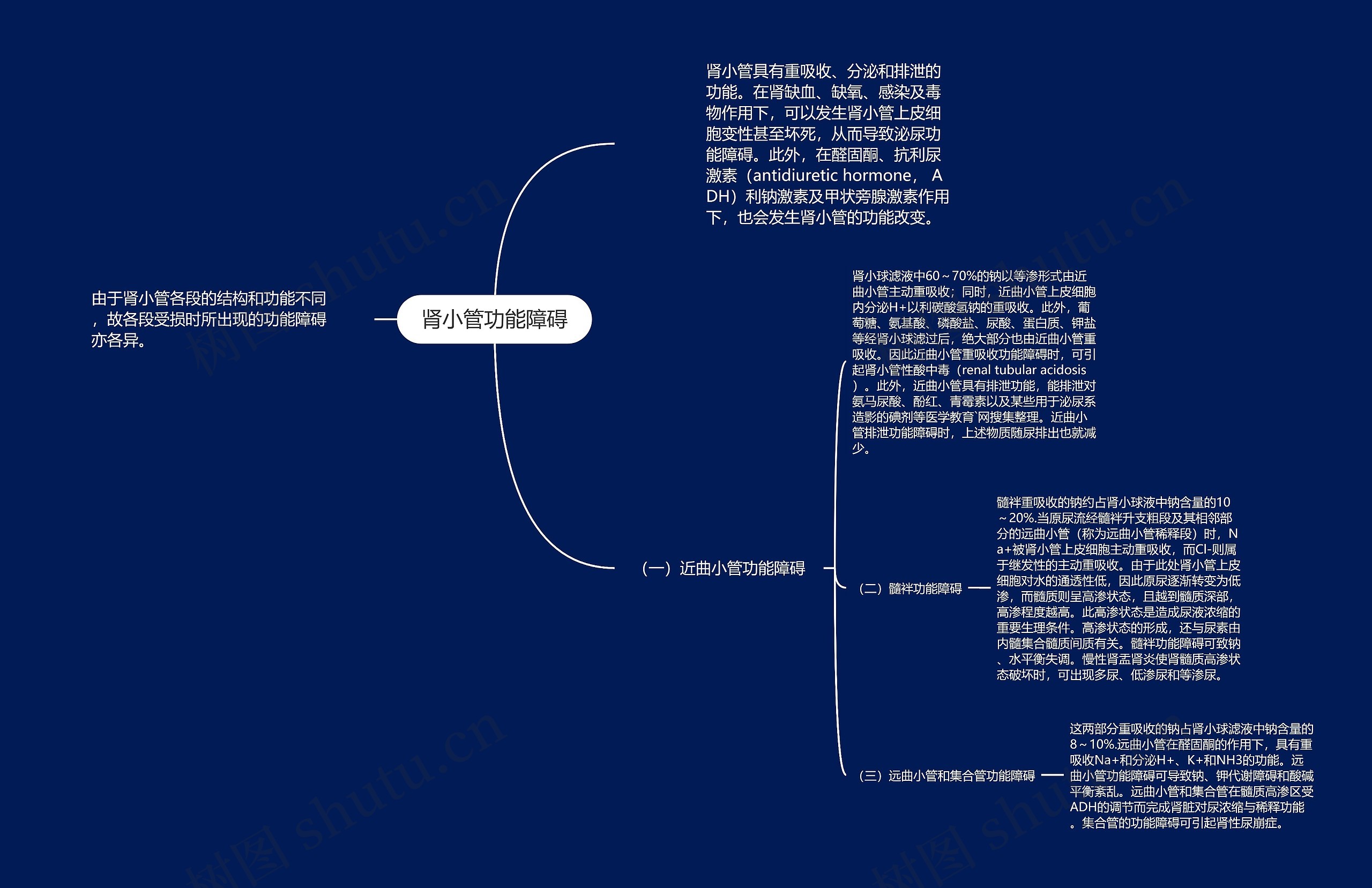 肾小管功能障碍思维导图