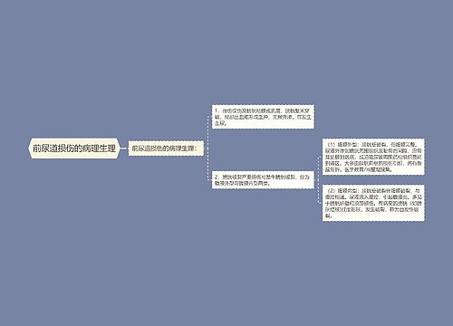 前尿道损伤的病理生理