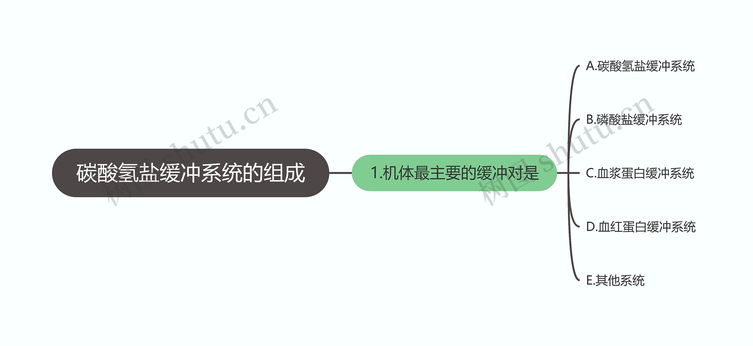 碳酸氢盐缓冲系统的组成 碳酸氢盐缓冲系统的组成