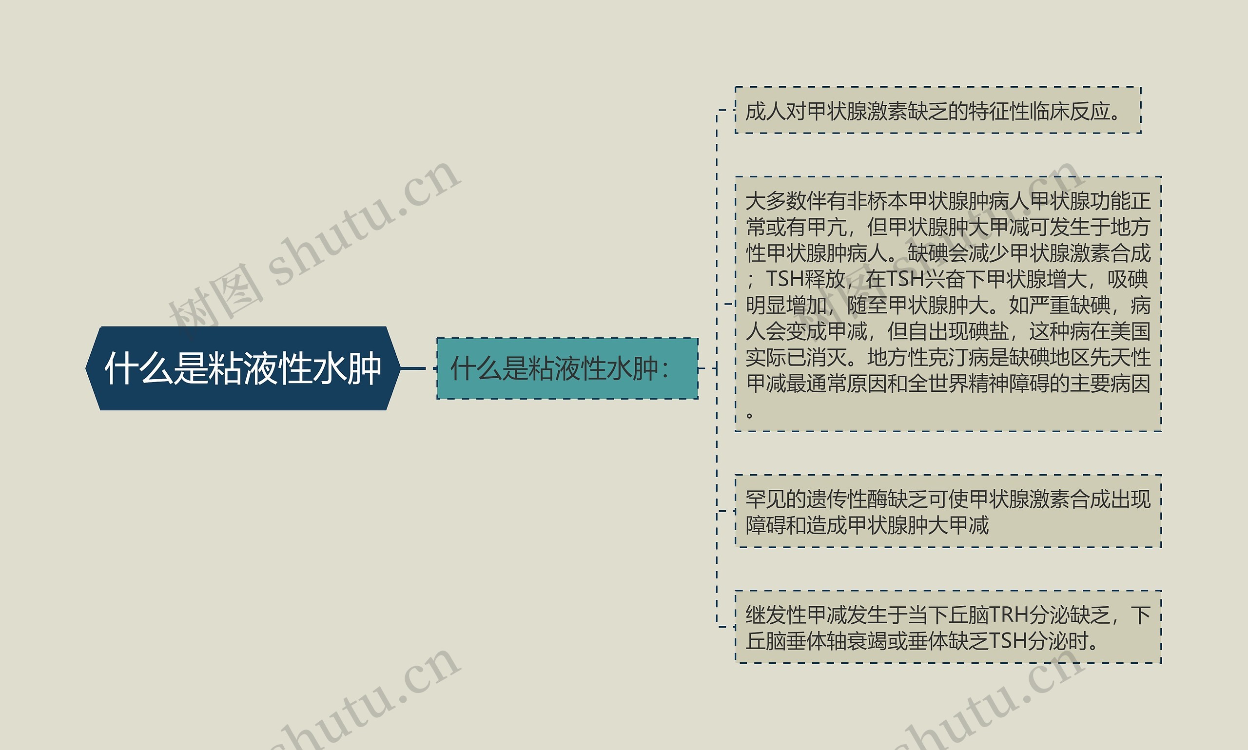 什么是粘液性水肿 什么是粘液性水肿