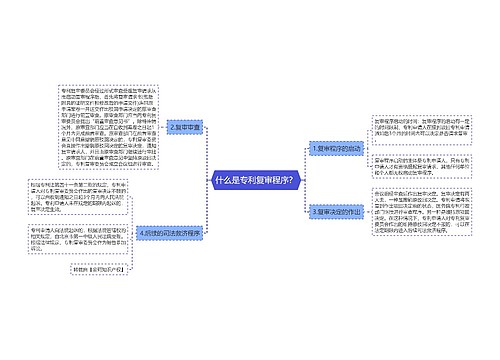 什么是专利复审程序？