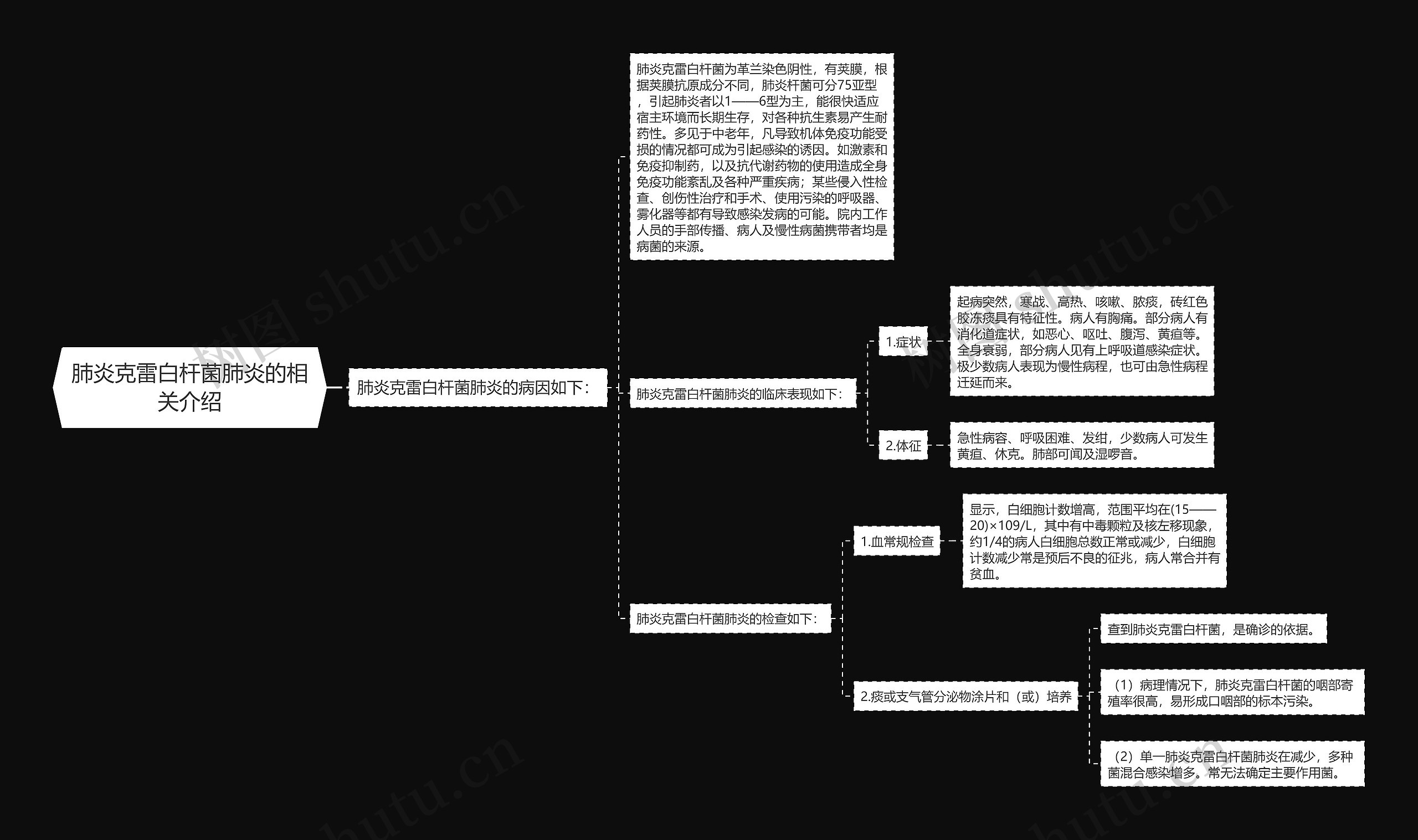 肺炎克雷白杆菌肺炎的相关介绍思维导图