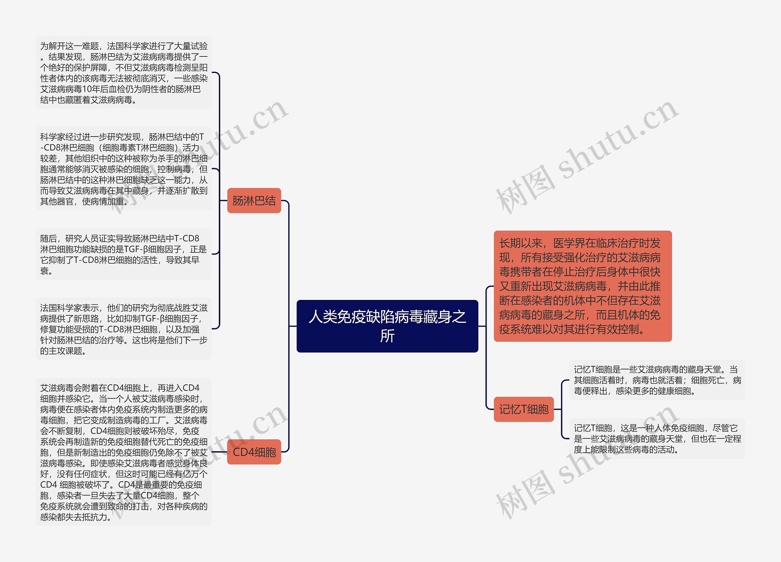 人类免疫缺陷病毒藏身之所