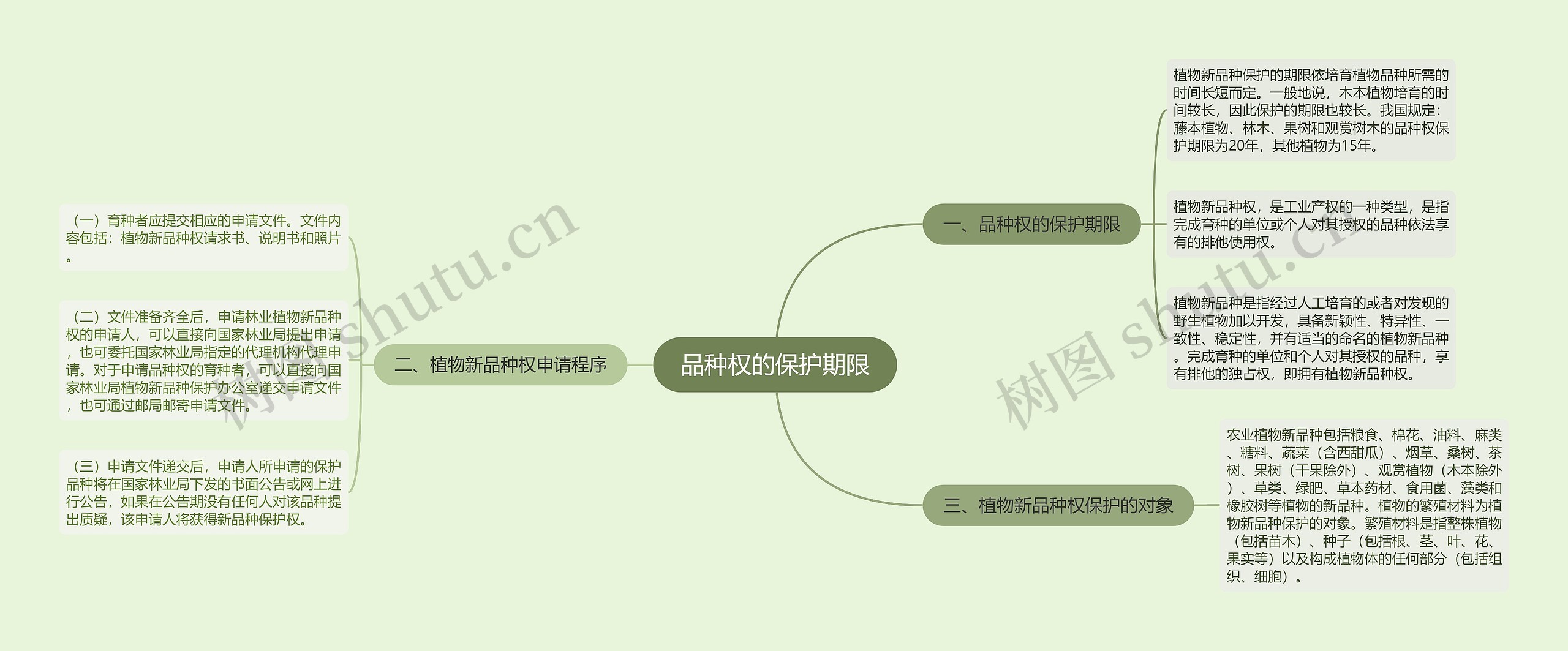 品种权的保护期限思维导图