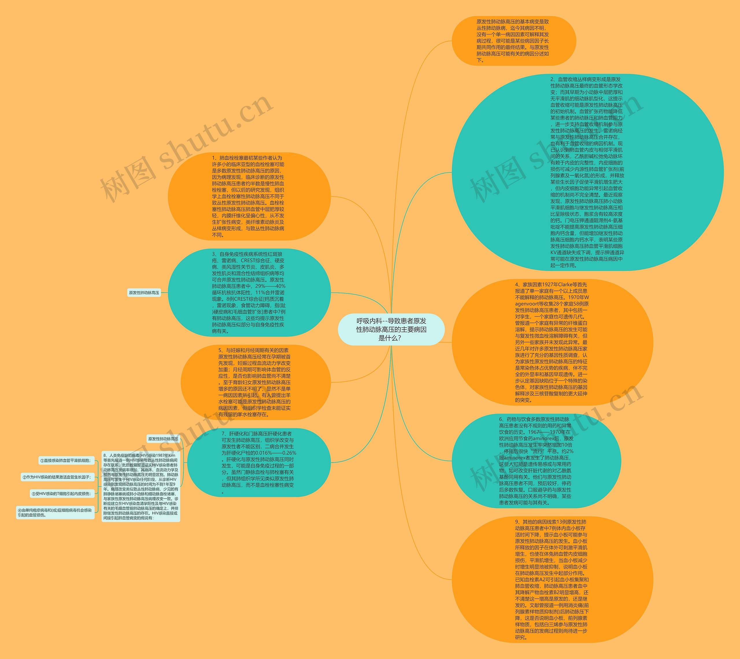 呼吸内科--导致患者原发性肺动脉高压的主要病因是什么？思维导图