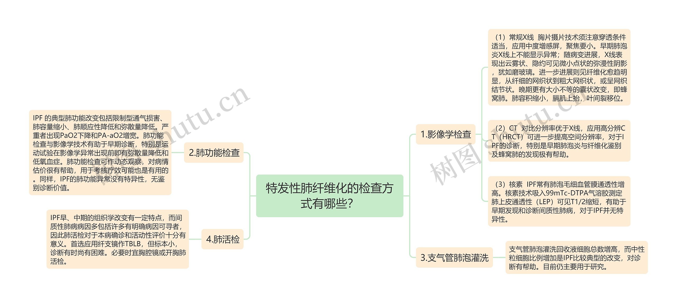 特发性肺纤维化的检查方式有哪些？思维导图