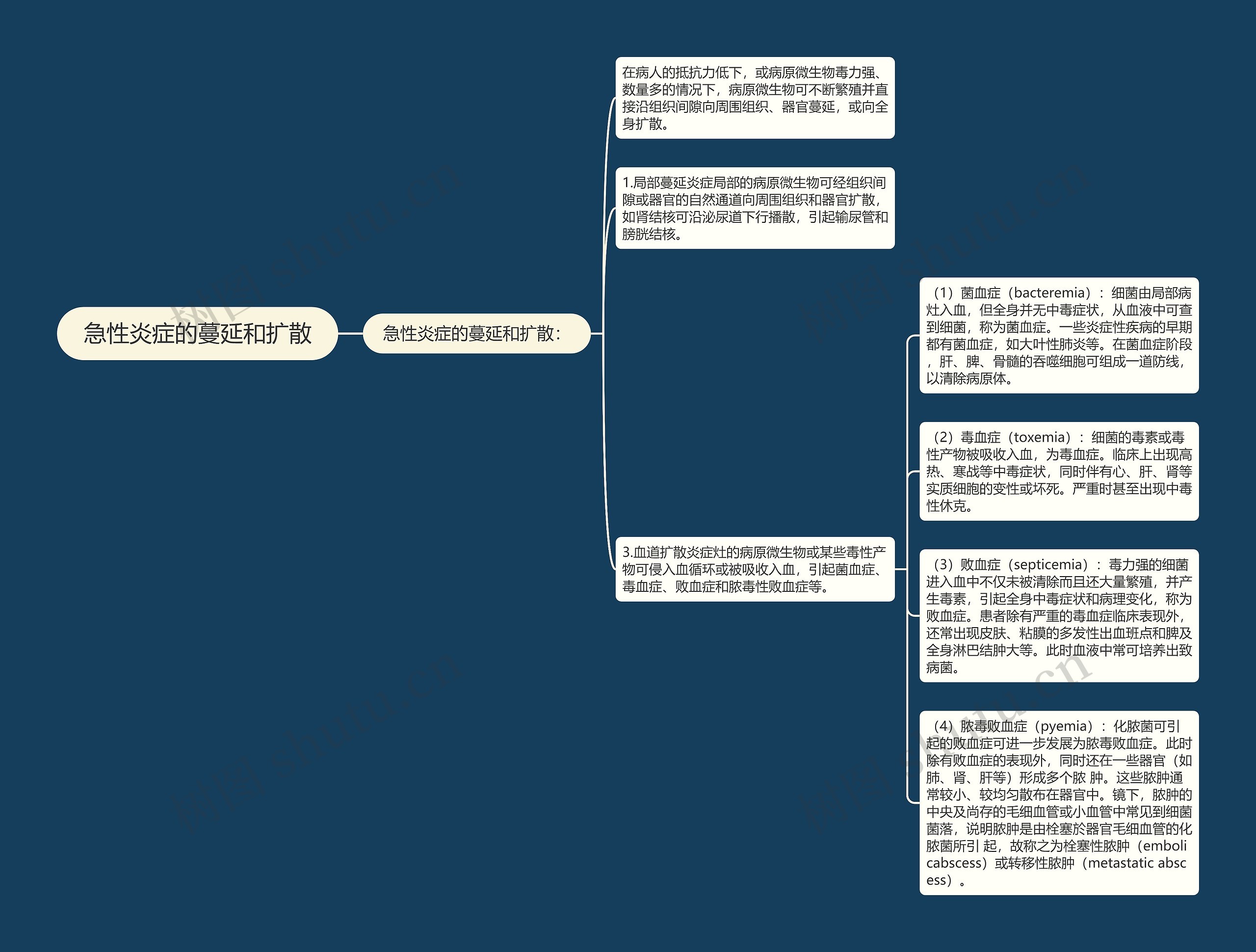 急性炎症的蔓延和扩散思维导图