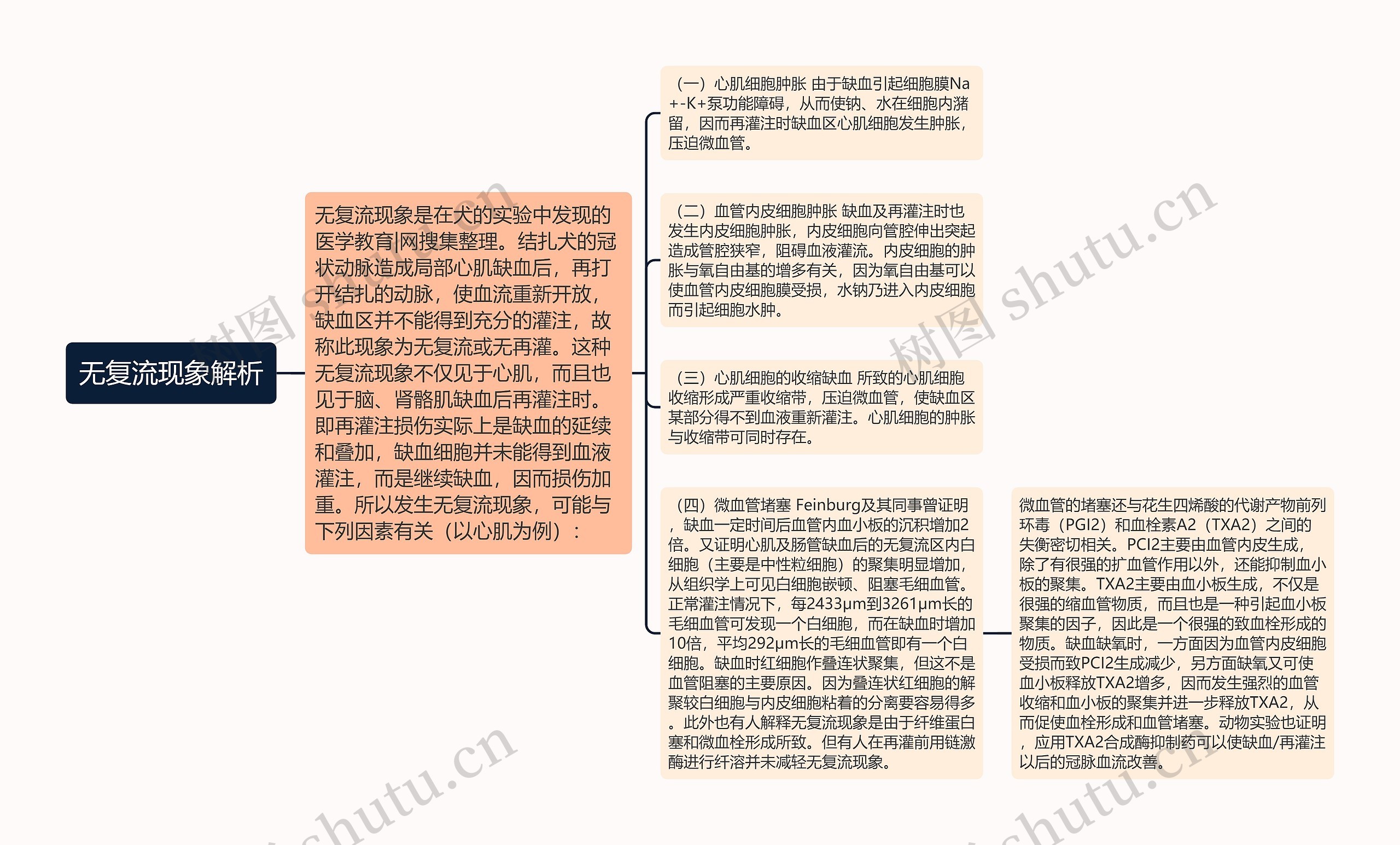 无复流现象解析