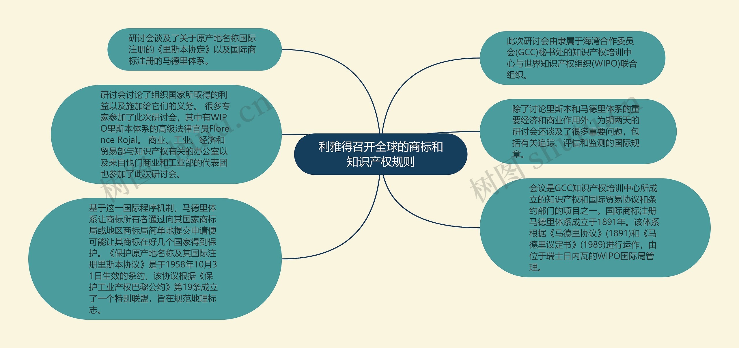 利雅得召开全球的商标和知识产权规则