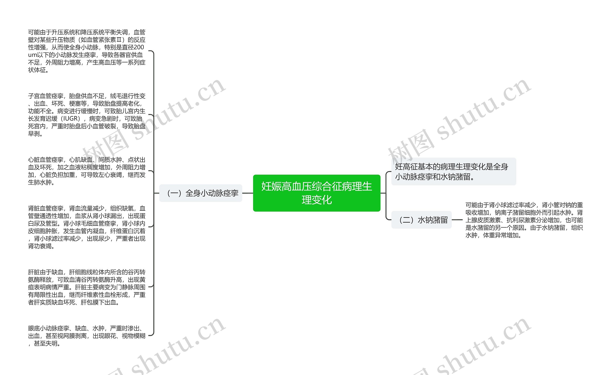 妊娠高血压综合征病理生理变化