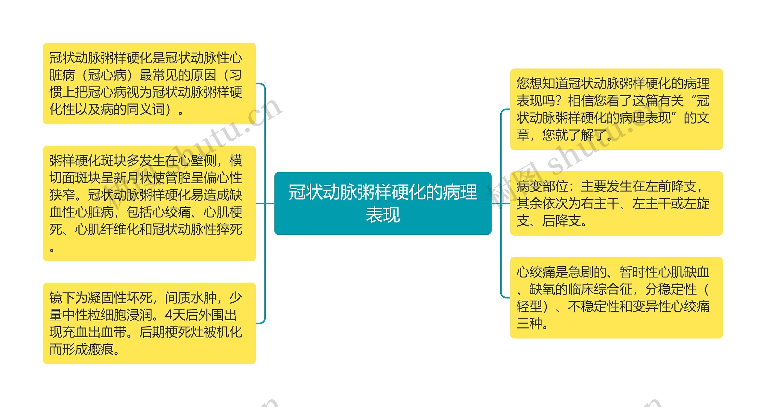 冠状动脉粥样硬化的病理表现