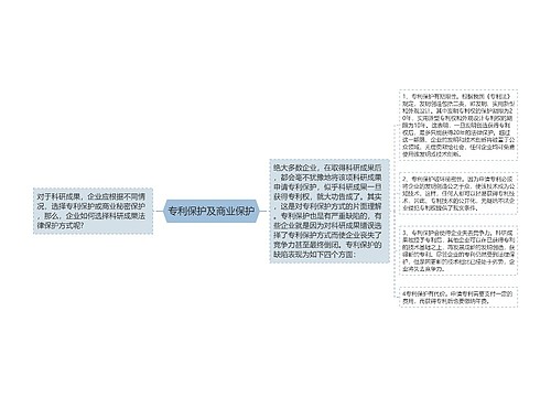 专利保护及商业保护