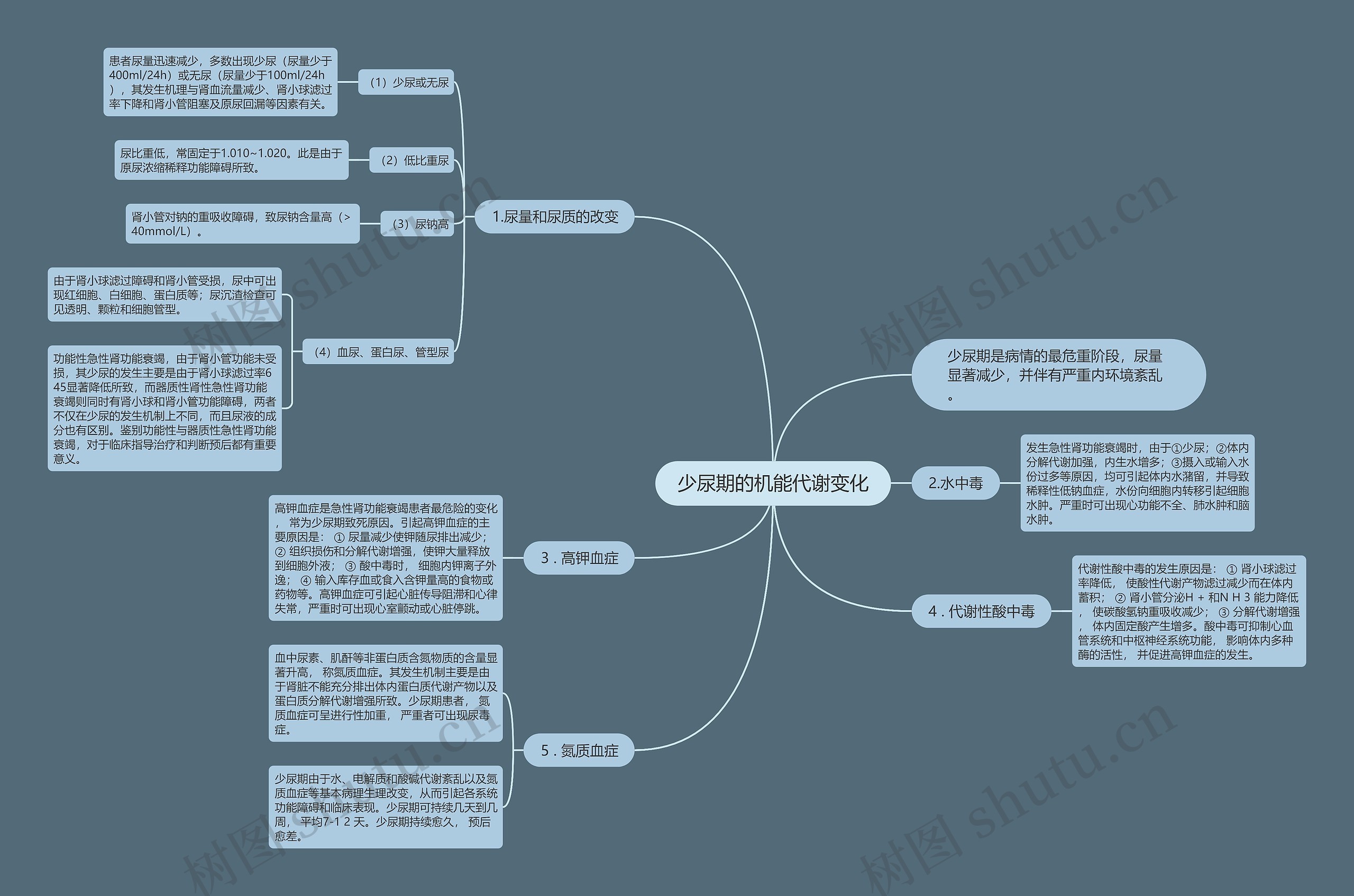 少尿期的机能代谢变化思维导图