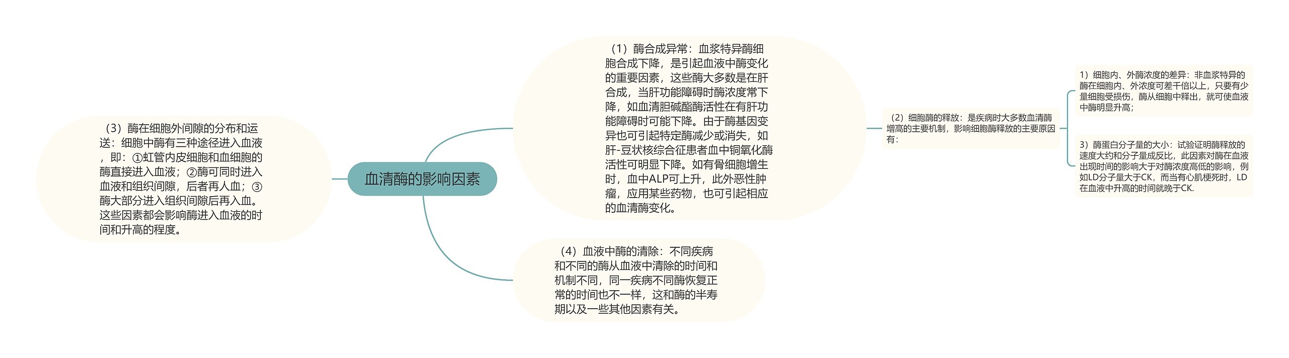 血清酶的影响因素思维导图