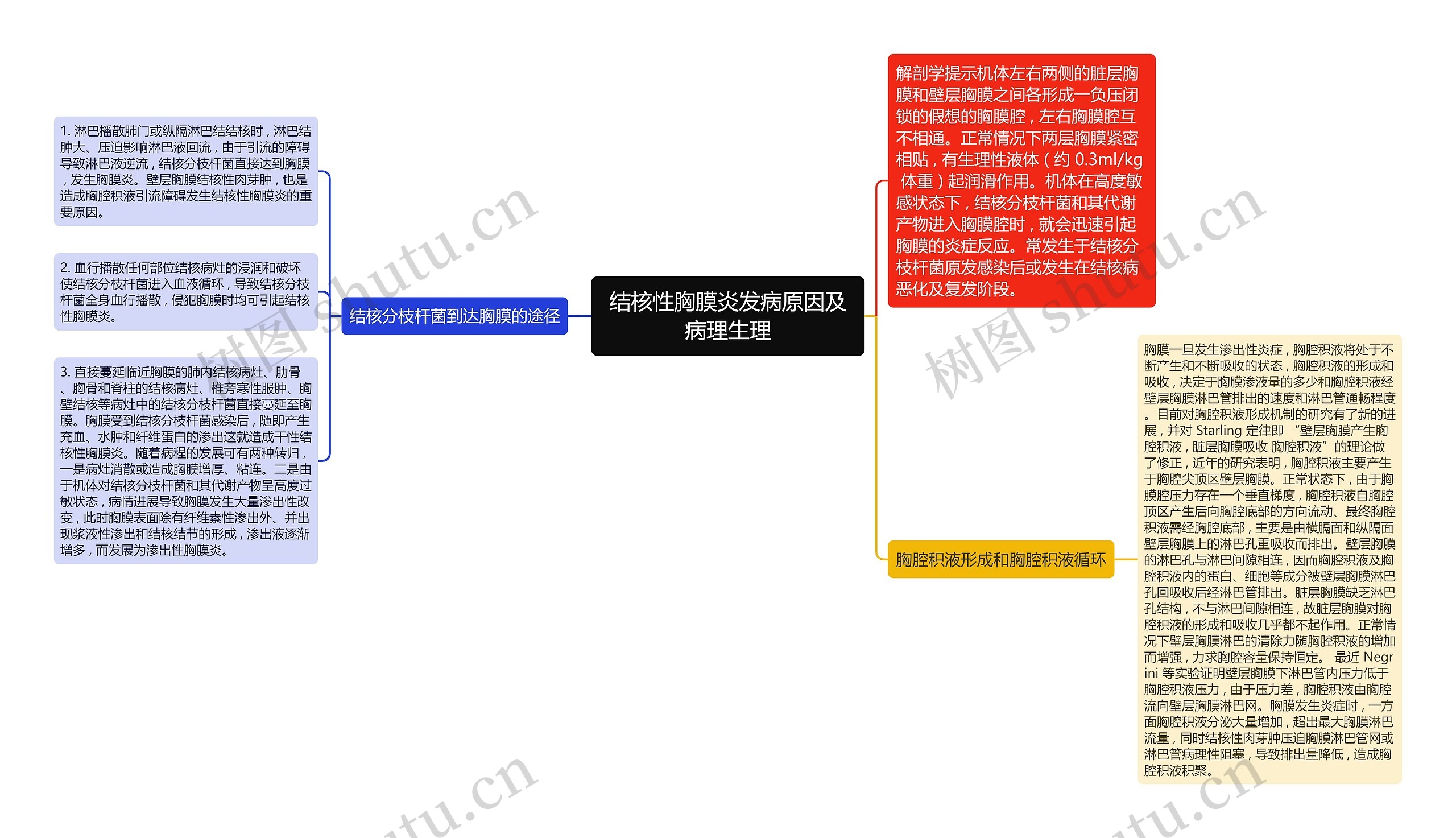 结核性胸膜炎发病原因及病理生理