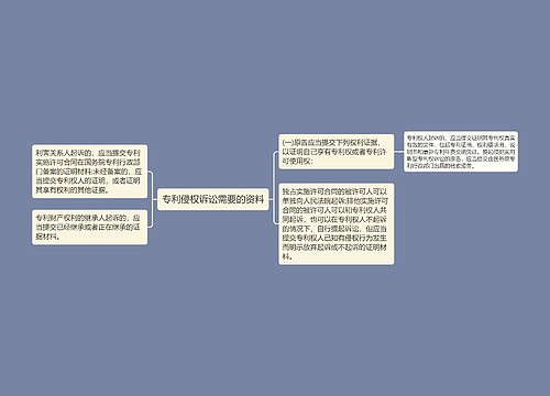 专利侵权诉讼需要的资料