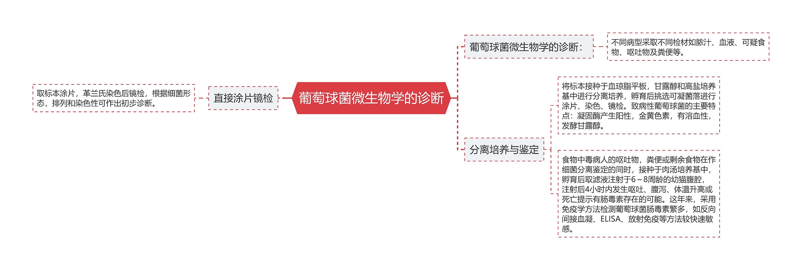 葡萄球菌微生物学的诊断思维导图