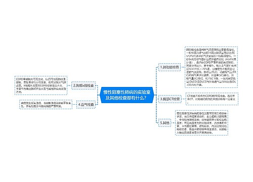 慢性阻塞性肺病的实验室及其他检查都有什么？