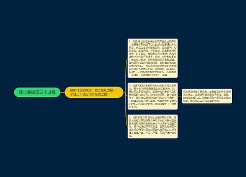 死亡要经历三个过程