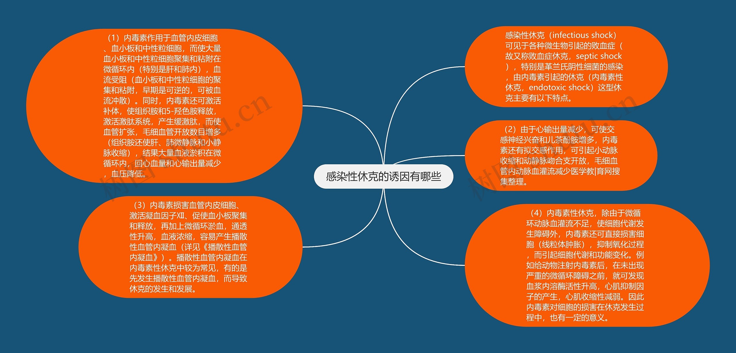 感染性休克的诱因有哪些思维导图