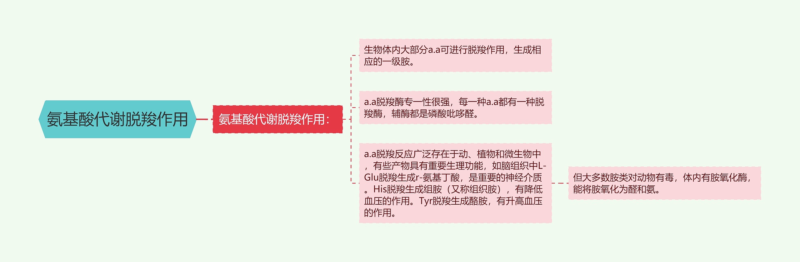 氨基酸代谢脱羧作用 氨基酸代谢脱羧作用