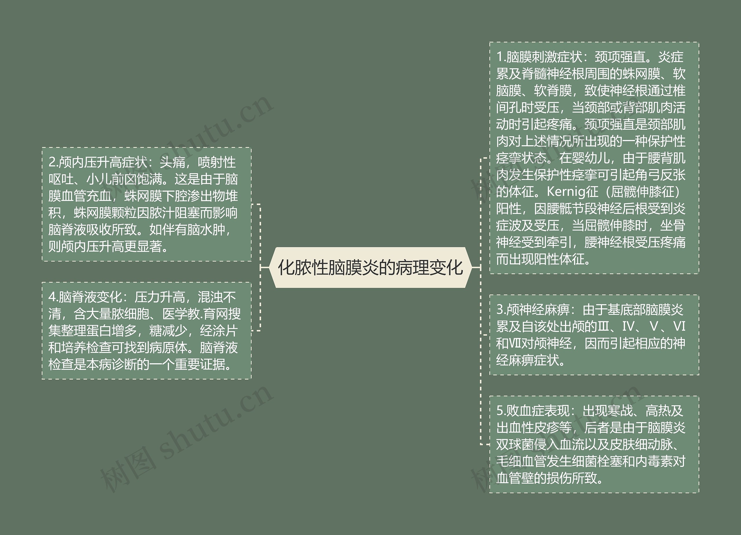 化脓性脑膜炎的病理变化