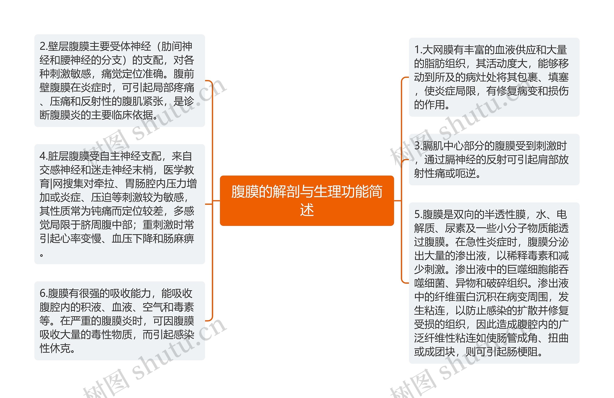 腹膜的解剖与生理功能简述思维导图