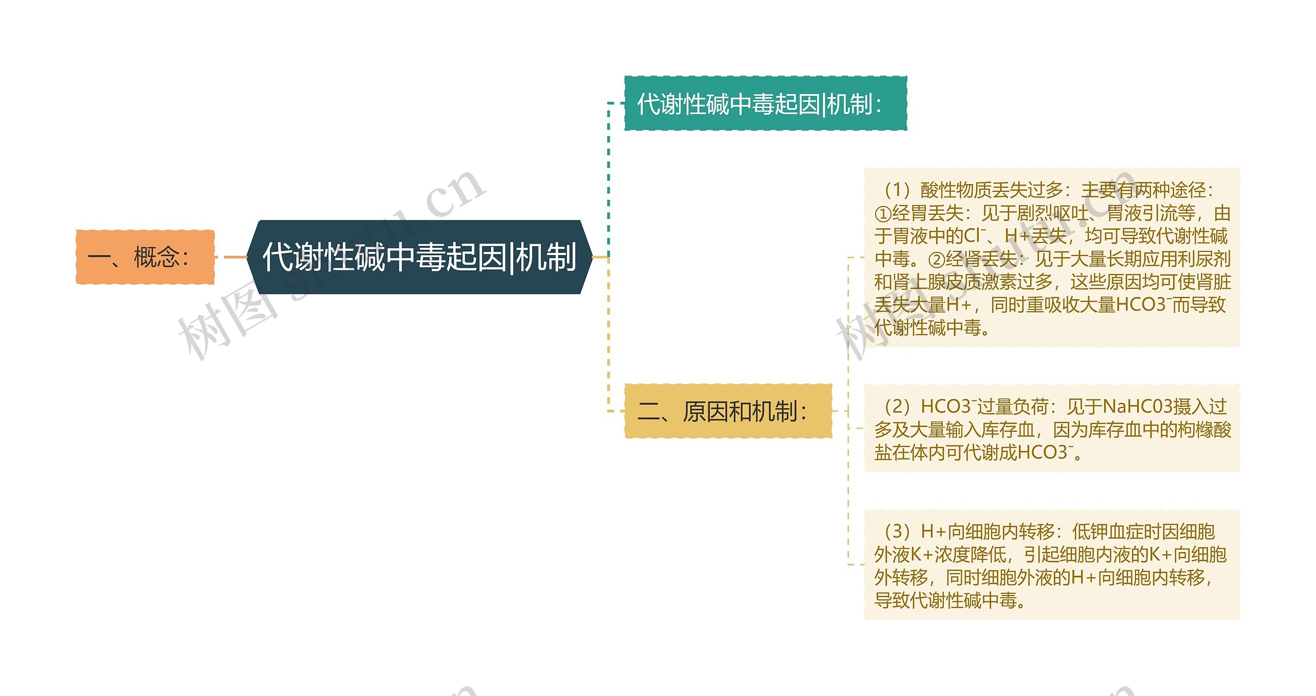 代谢性碱中毒起因|机制思维导图