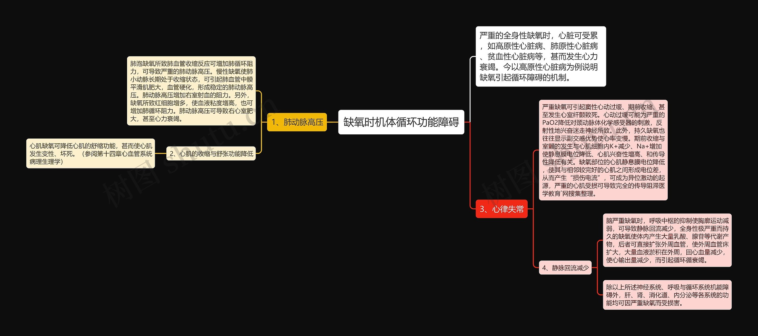 缺氧时机体循环功能障碍