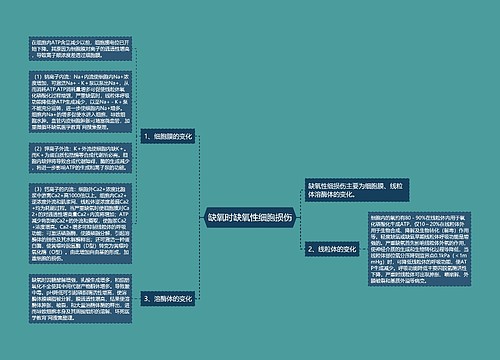 缺氧时缺氧性细胞损伤