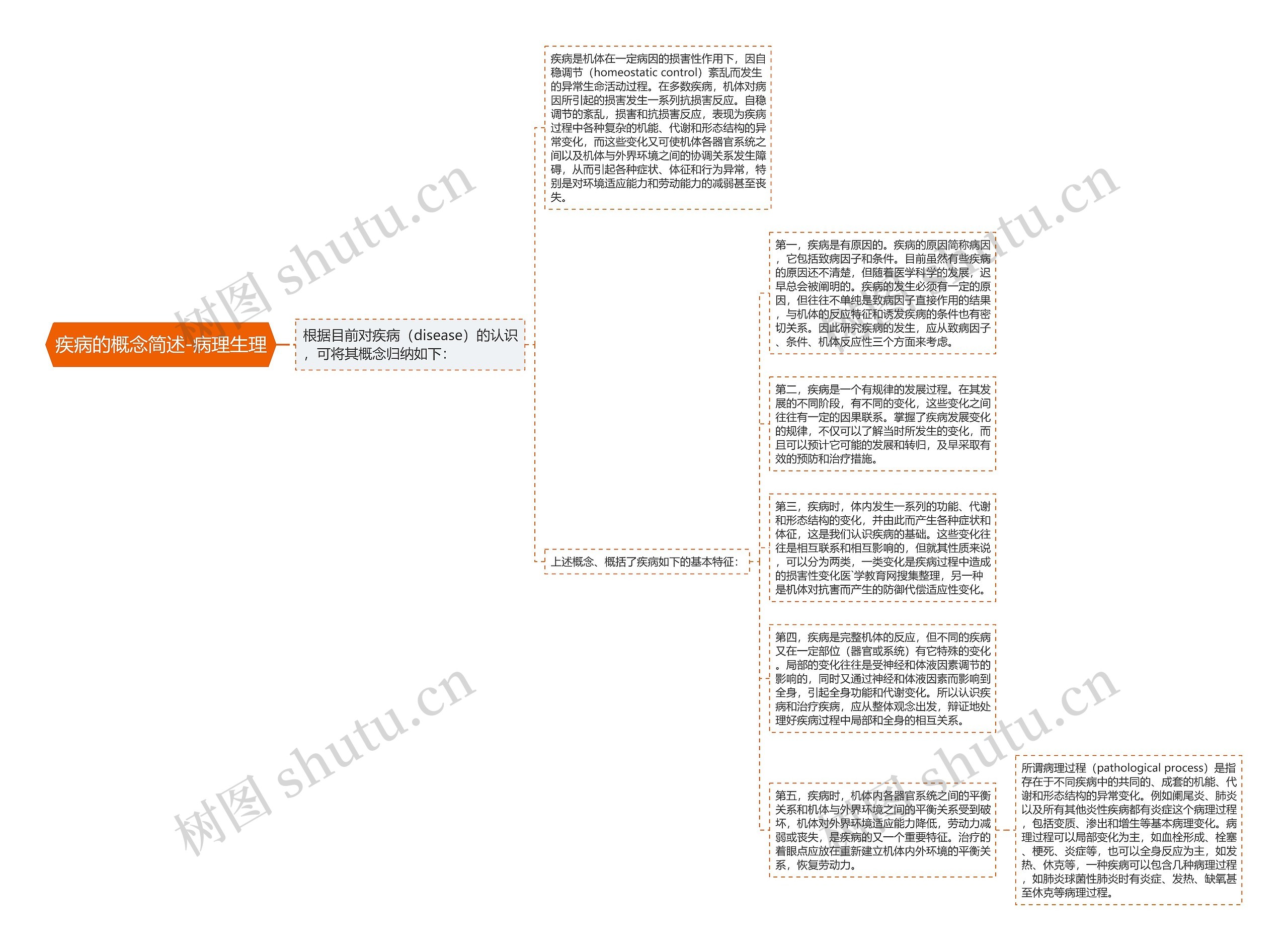 疾病的概念简述-病理生理思维导图