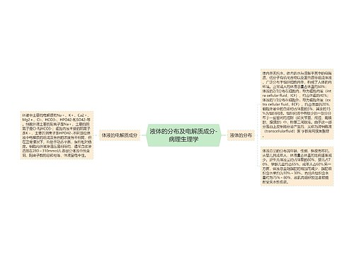 液体的分布及电解质成分-病理生理学