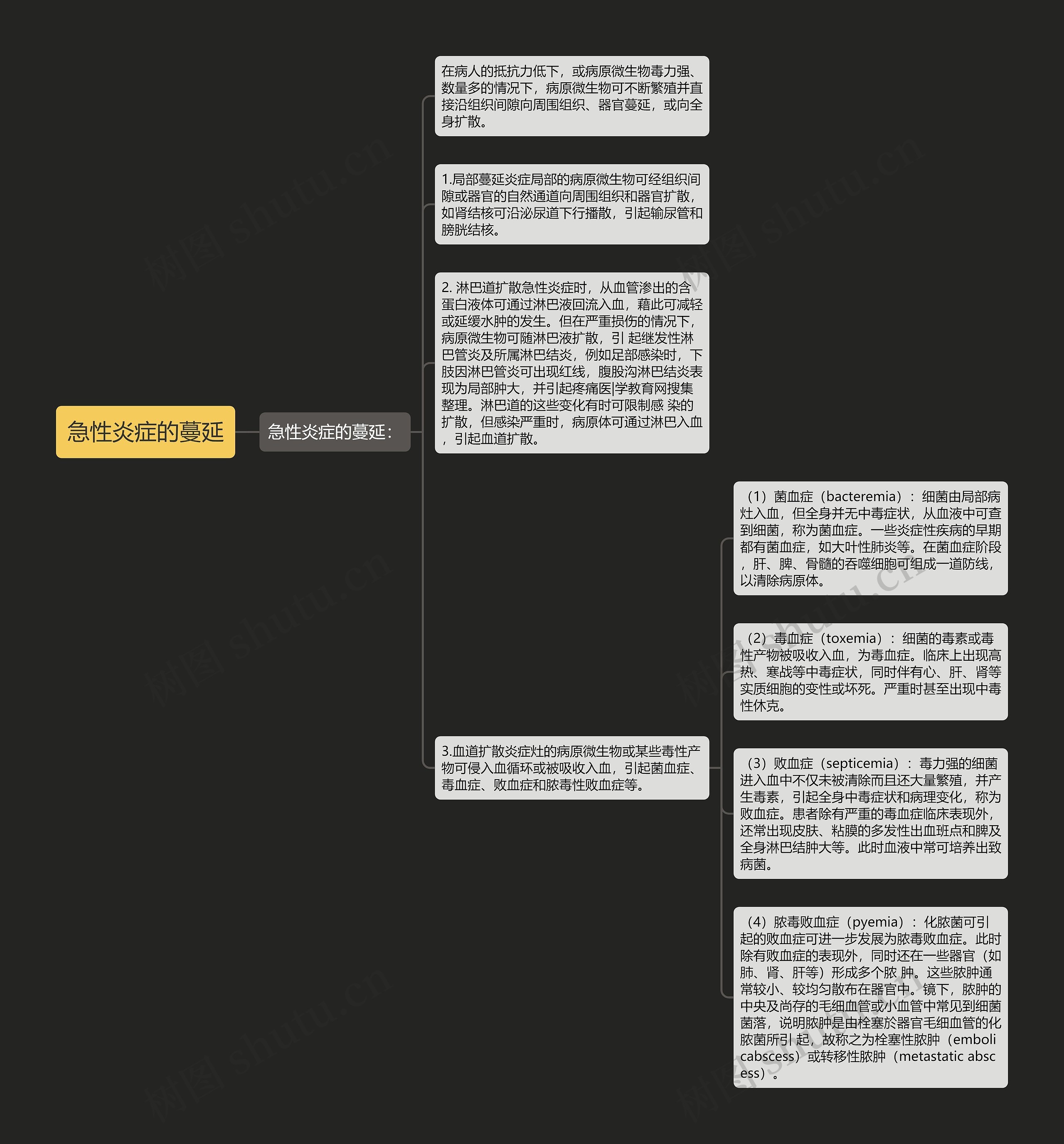 急性炎症的蔓延思维导图