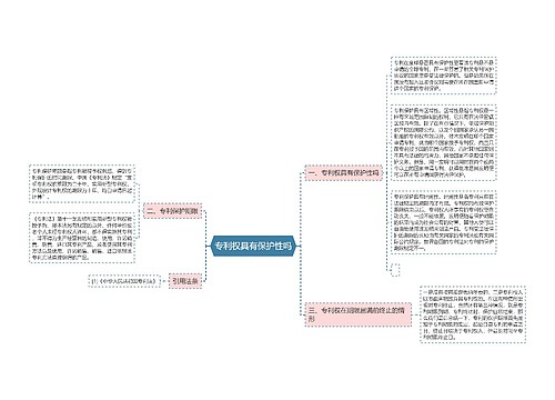 专利权具有保护性吗