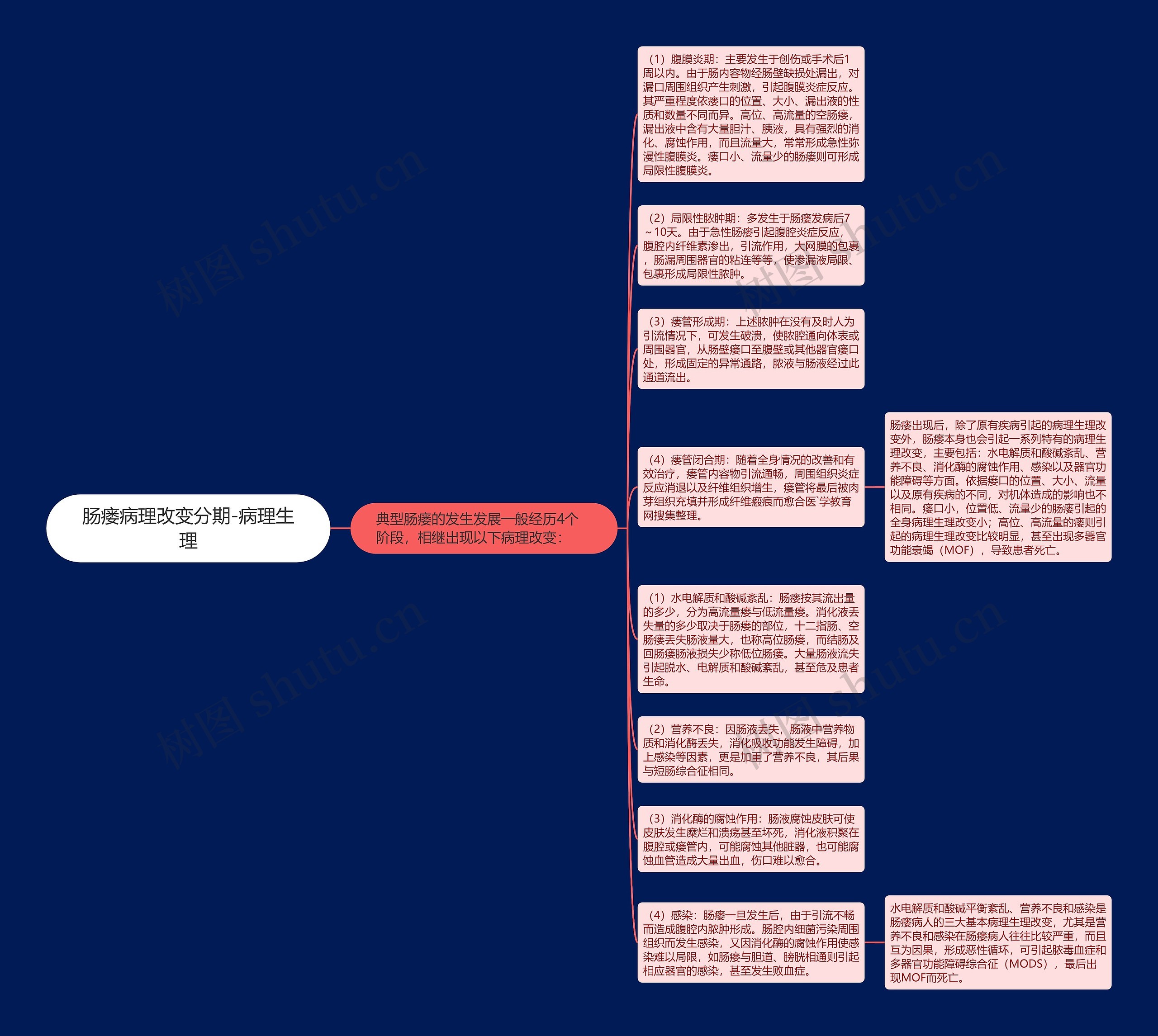 肠瘘病理改变分期-病理生理思维导图