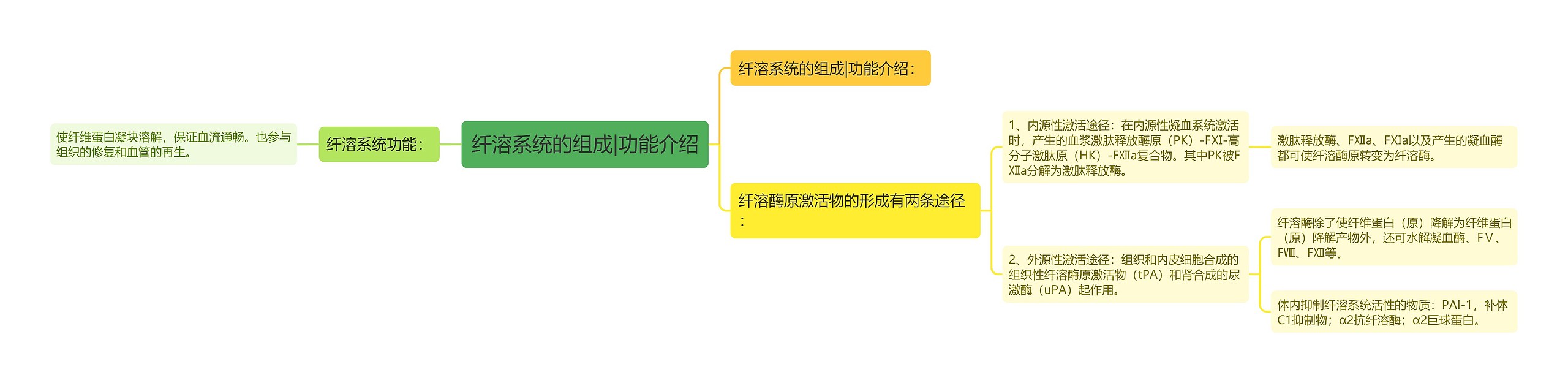 纤溶系统的组成|功能介绍