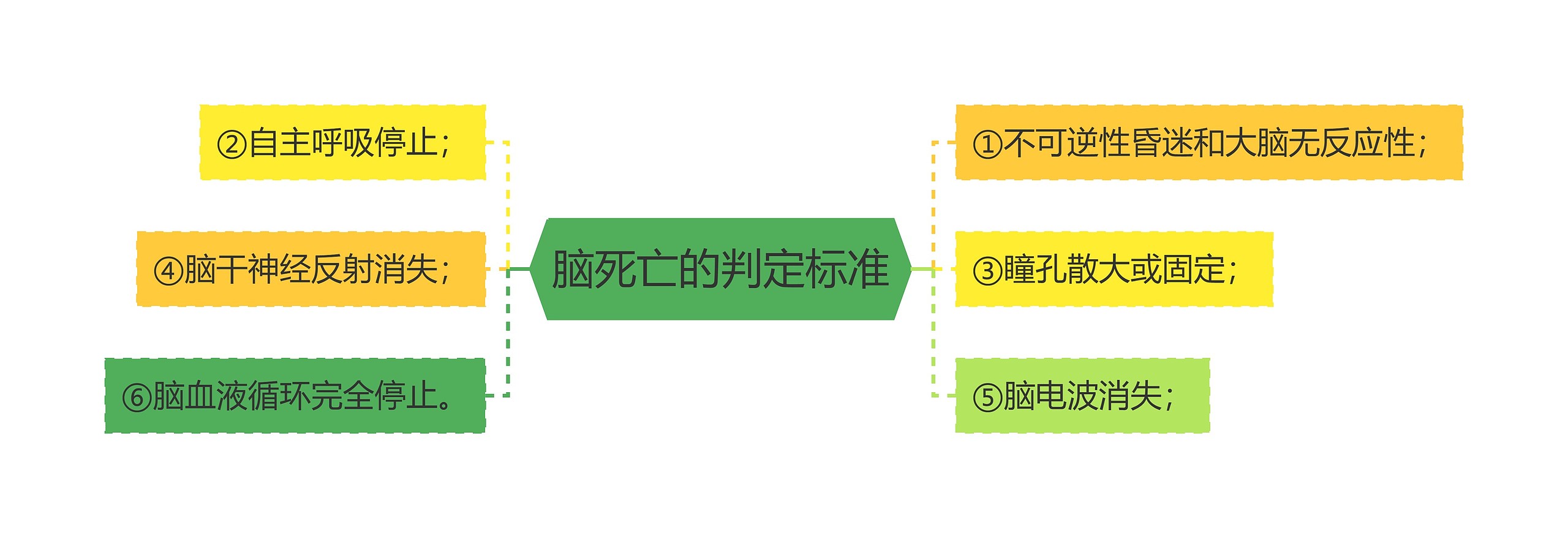 脑死亡的判定标准思维导图