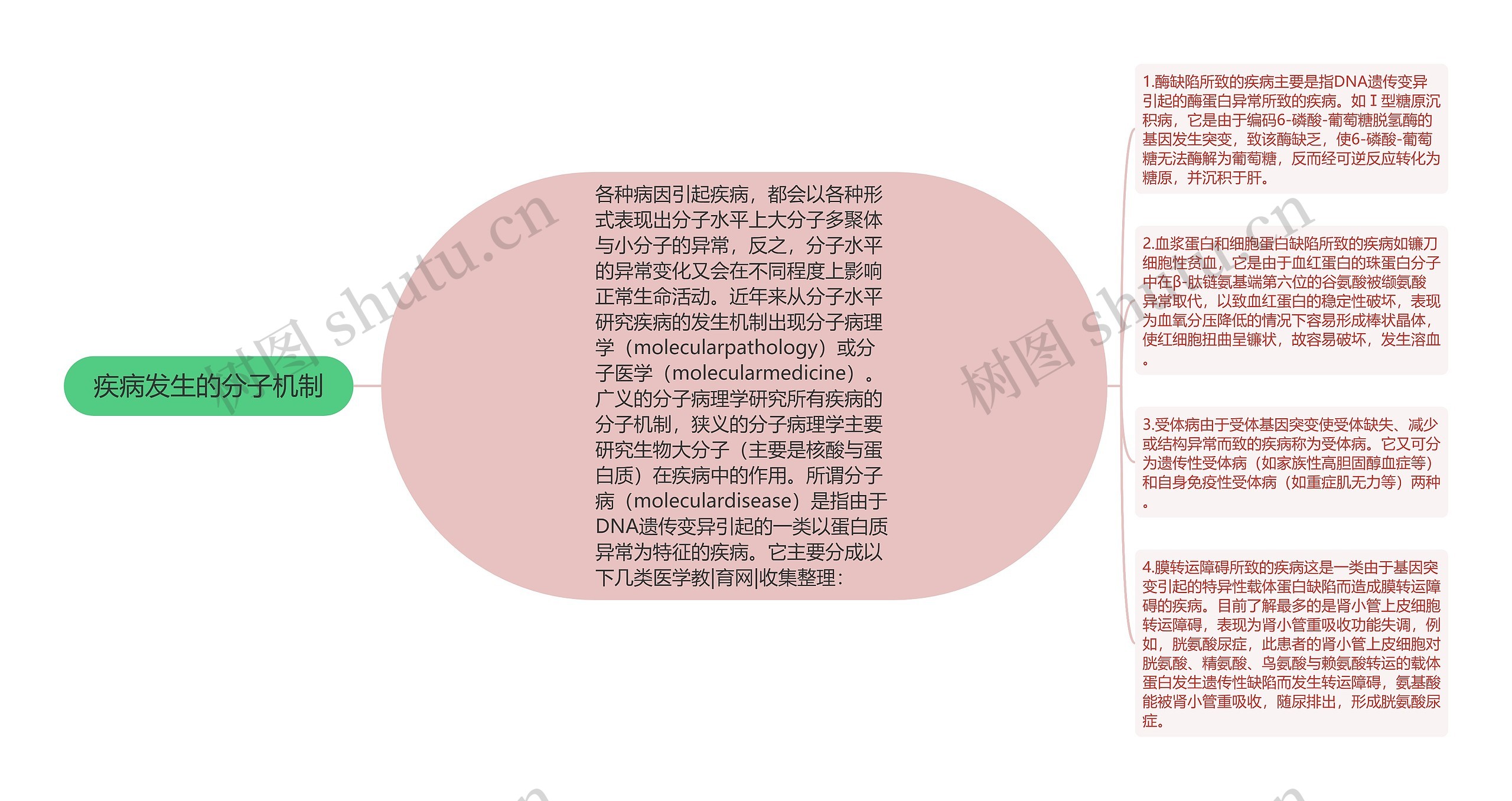 疾病发生的分子机制 疾病发生的分子机制