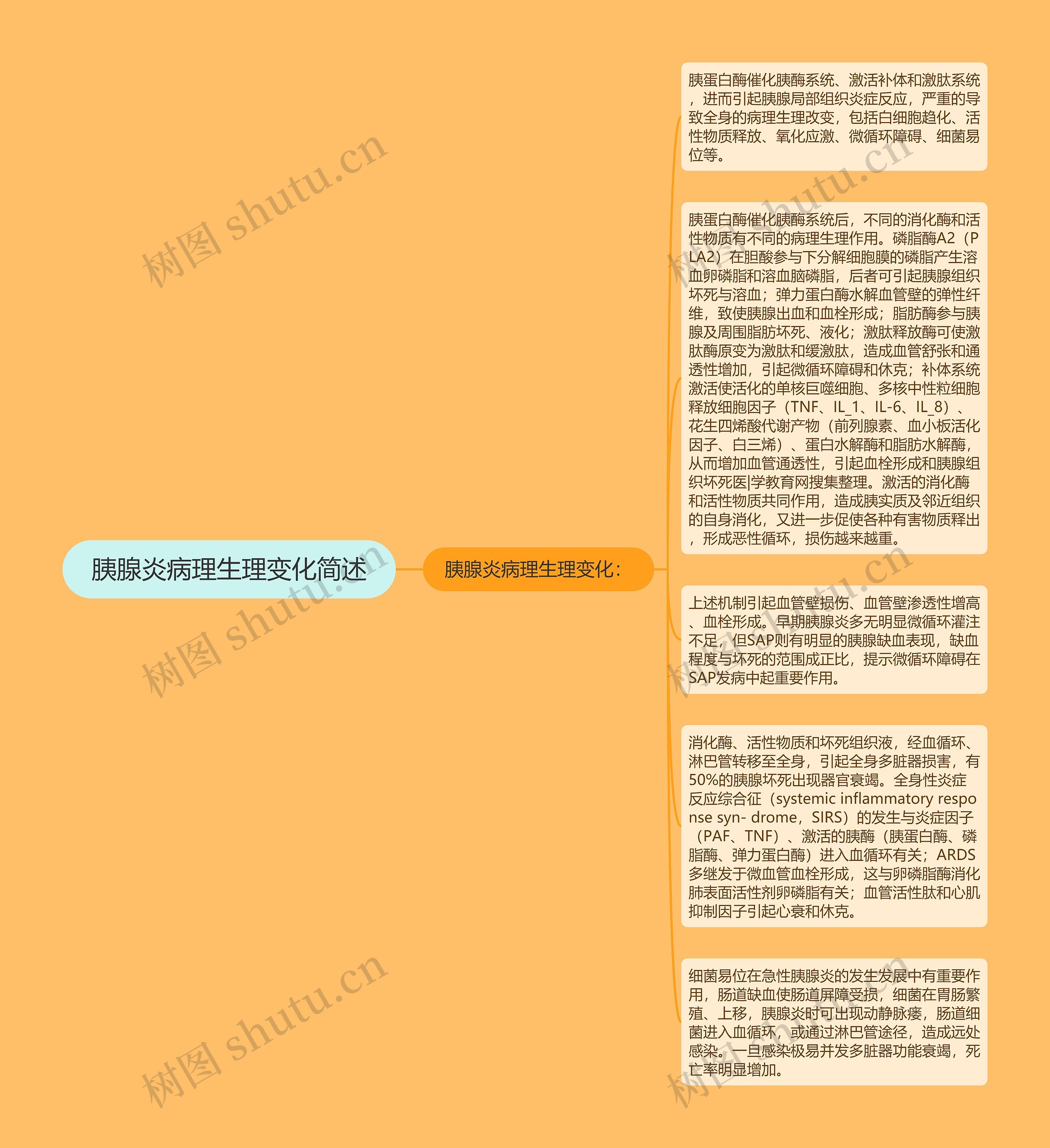 胰腺炎病理生理变化简述