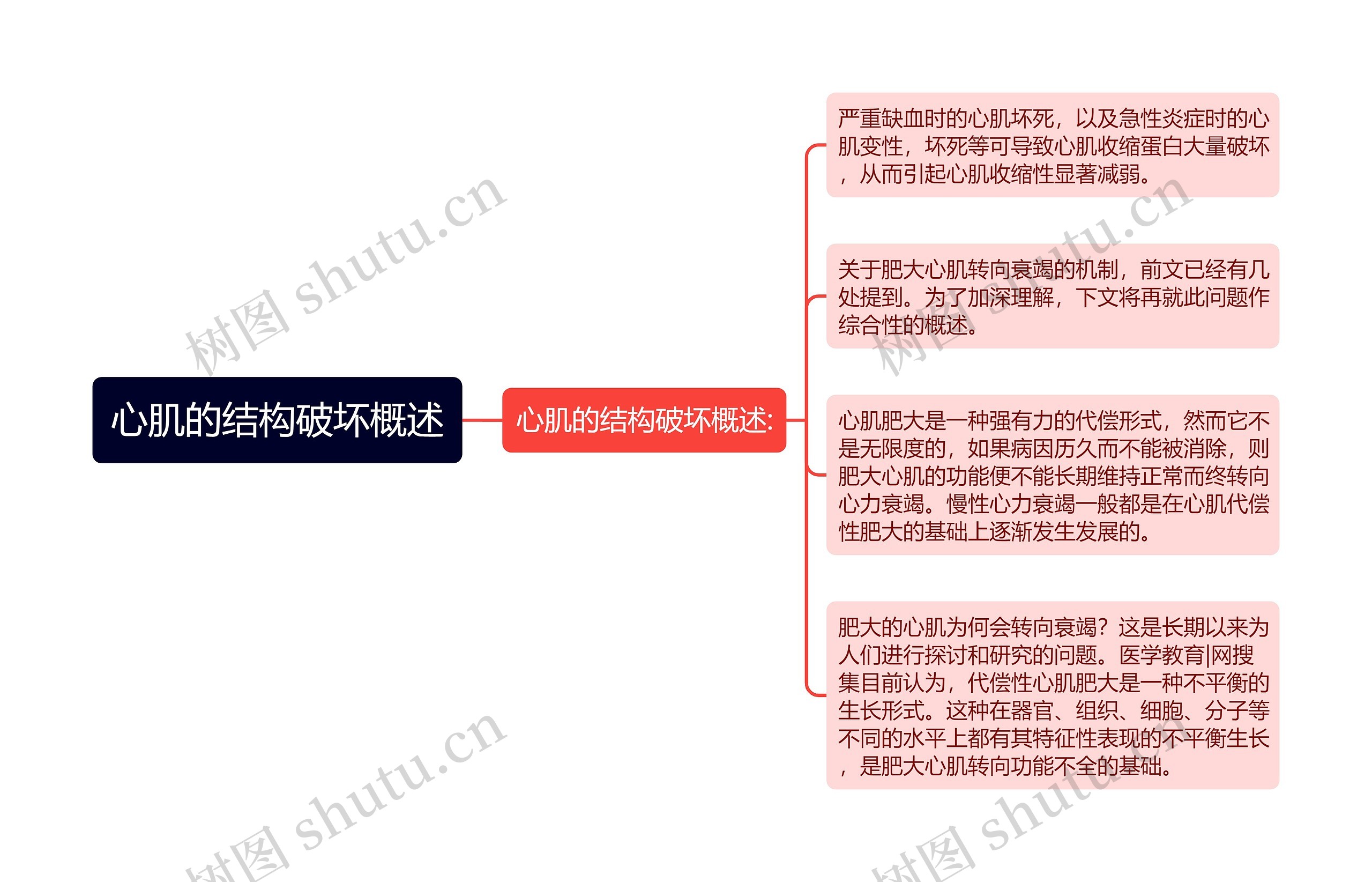 心肌的结构破坏概述思维导图