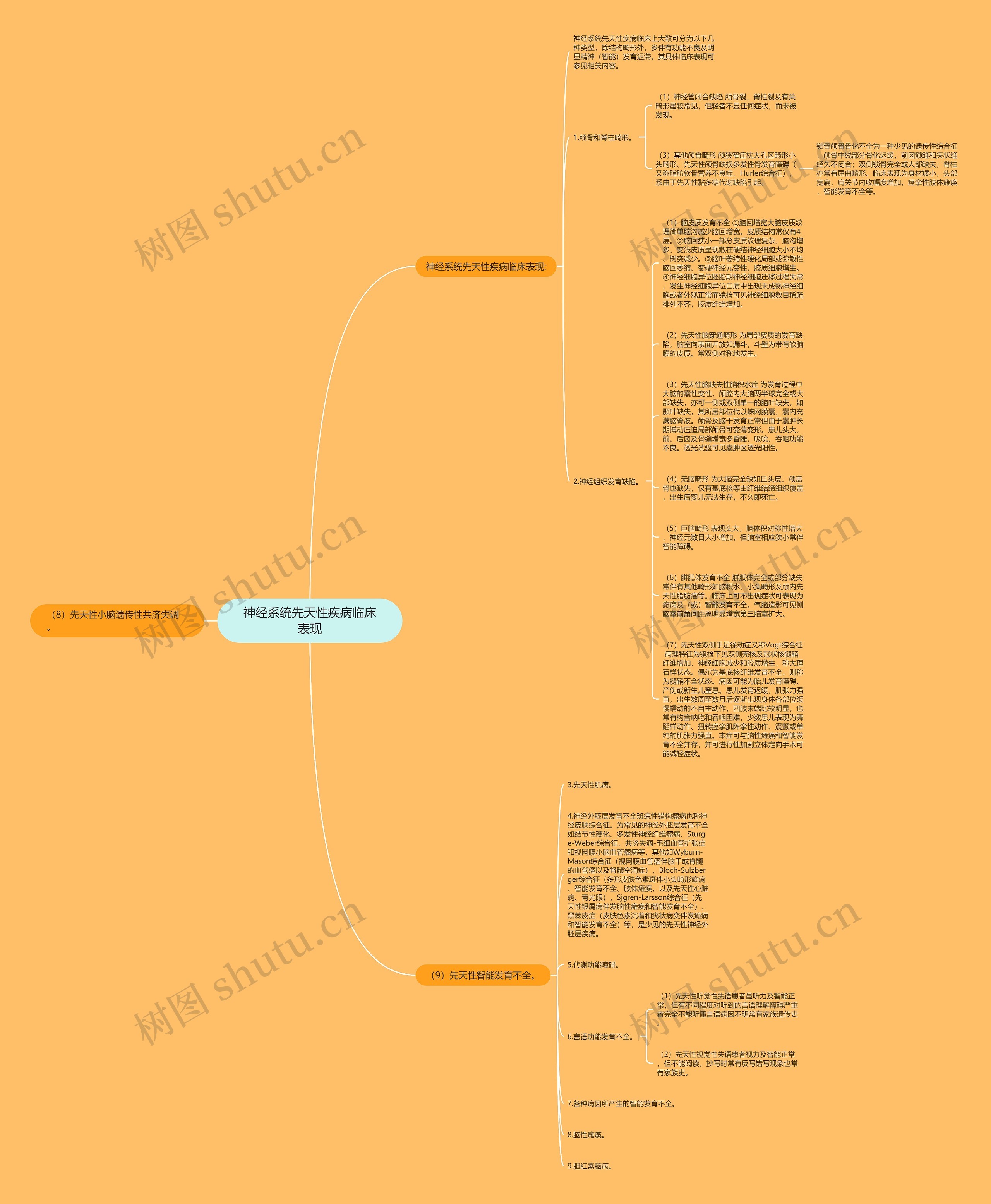 神经系统先天性疾病临床表现思维导图