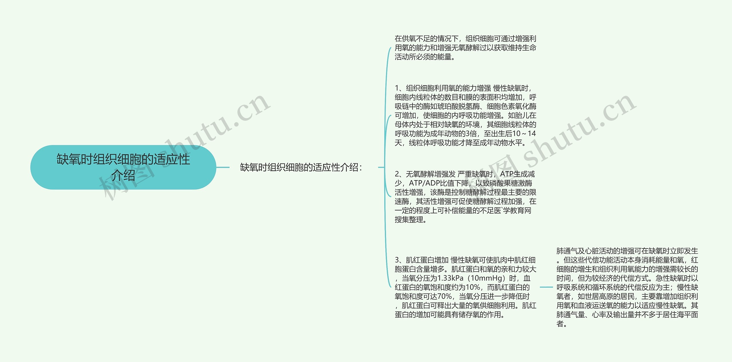 缺氧时组织细胞的适应性介绍思维导图