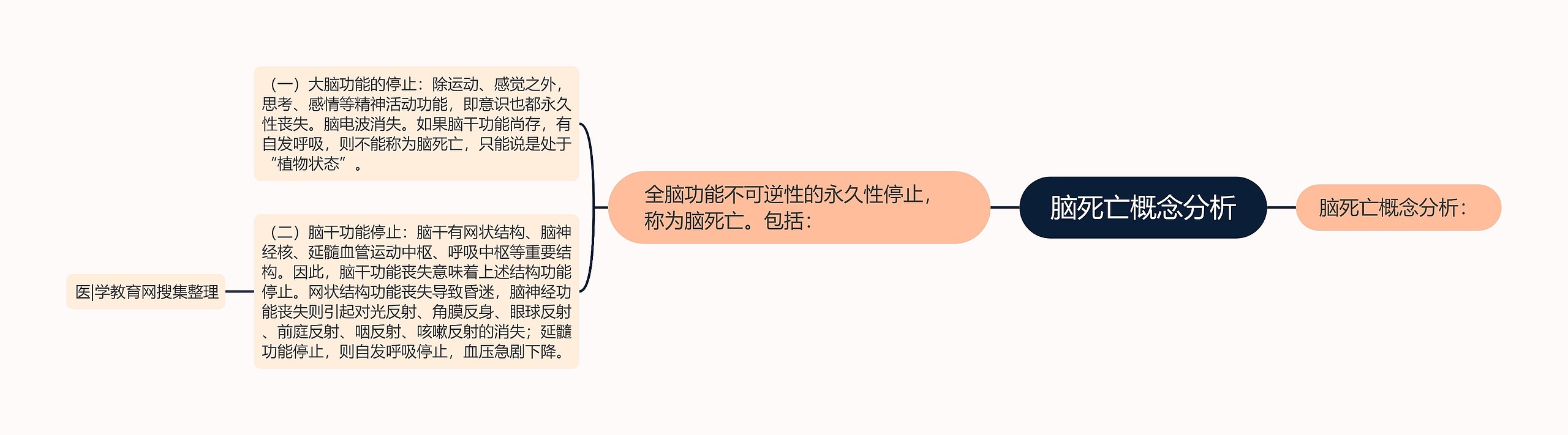 脑死亡概念分析 脑死亡概念分析