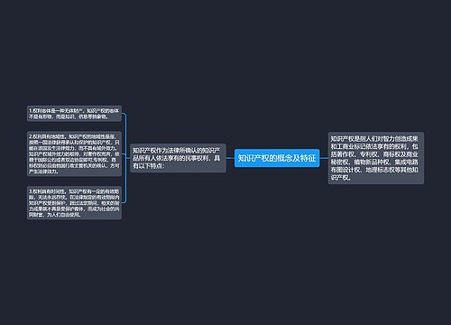 知识产权的概念及特征