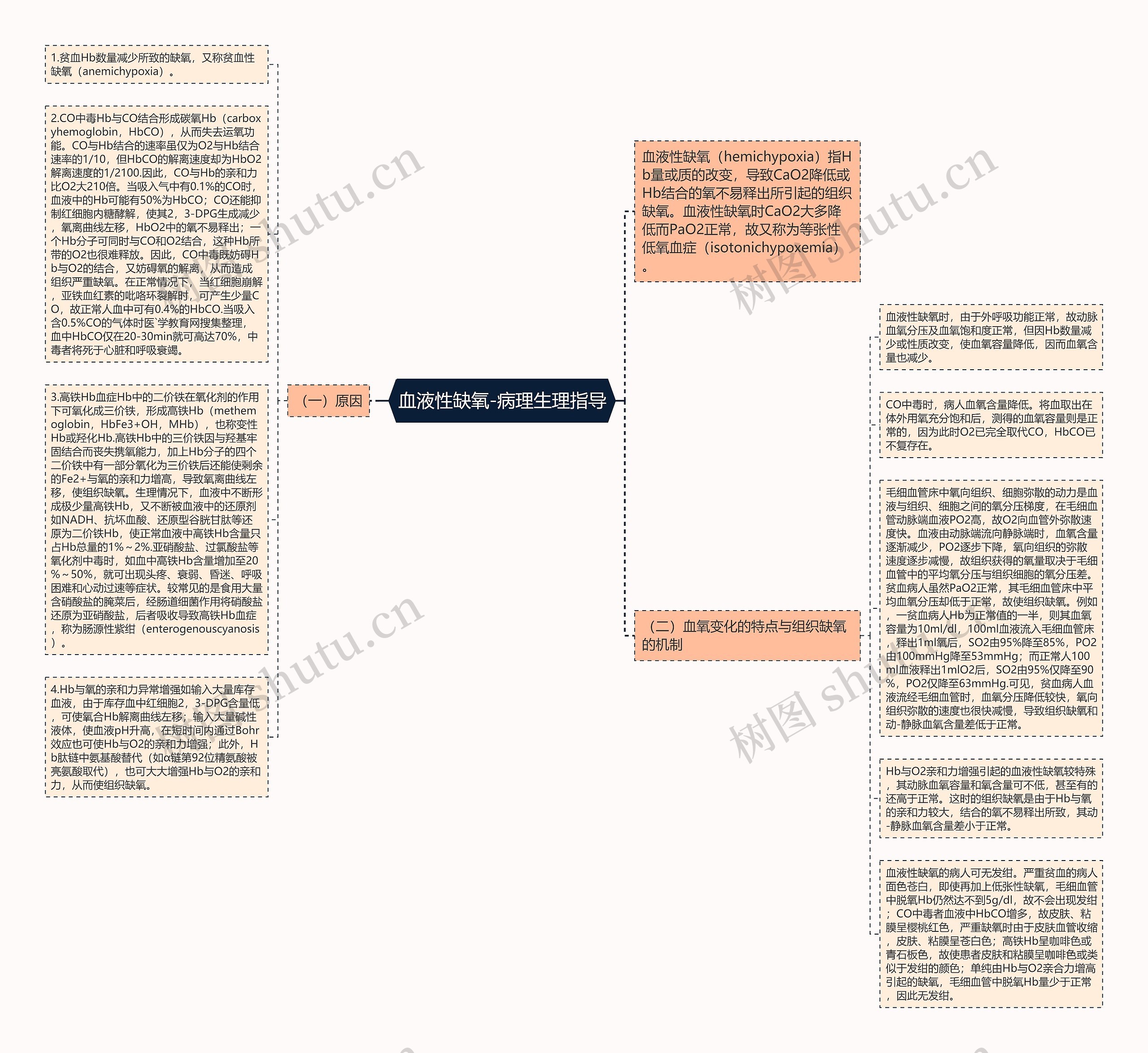 血液性缺氧-病理生理指导思维导图